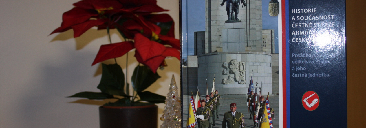 akce_pv_praha_24.11.-30.11.2014_019.jpg
